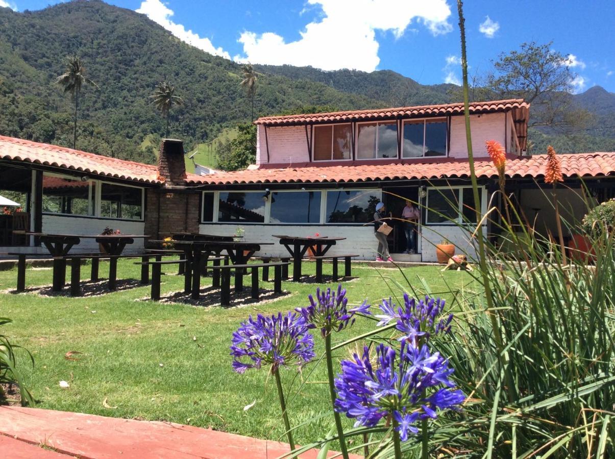 Palmas De Cocora Guest House Salento Exterior foto
