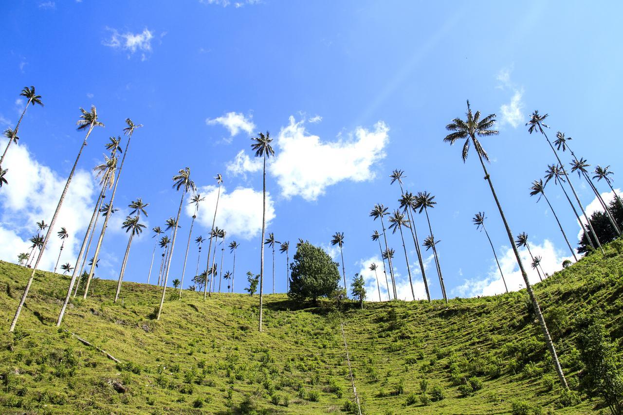 Palmas De Cocora Guest House Salento Exterior foto